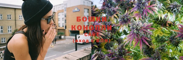 индика Михайлов