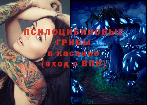 индика Михайлов