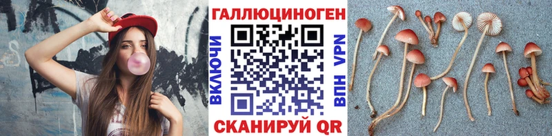 Псилоцибиновые грибы мицелий ОМГ ОМГ онион Калининец