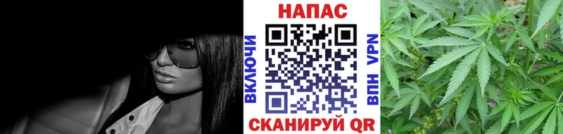 Конопля Amnesia  Калининец 